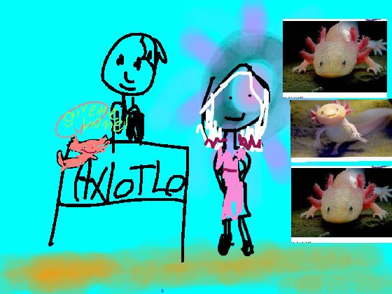 axolotl store