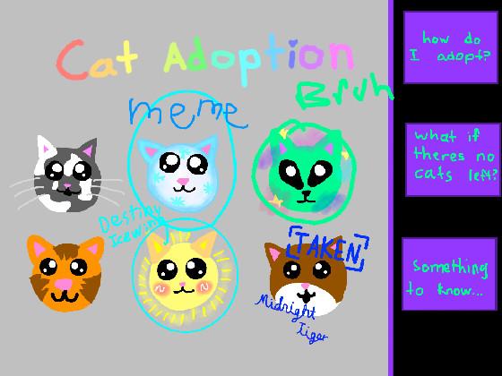 re: Cat adoption 1 1