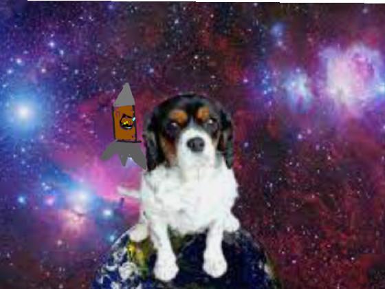 space dog