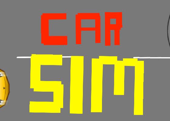 Car Sim RELEASED 1 1