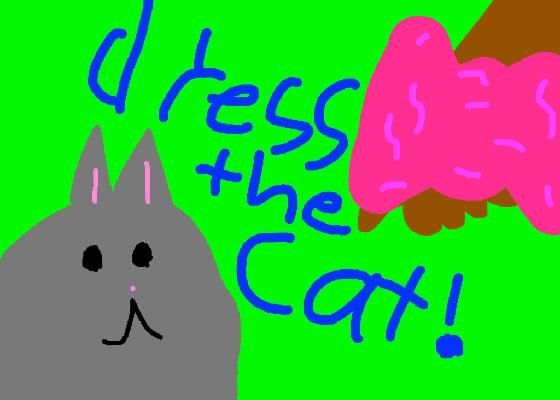 dress the cat