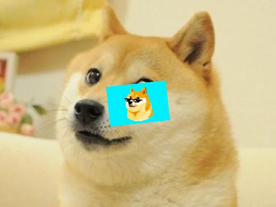 Doge spin drawer