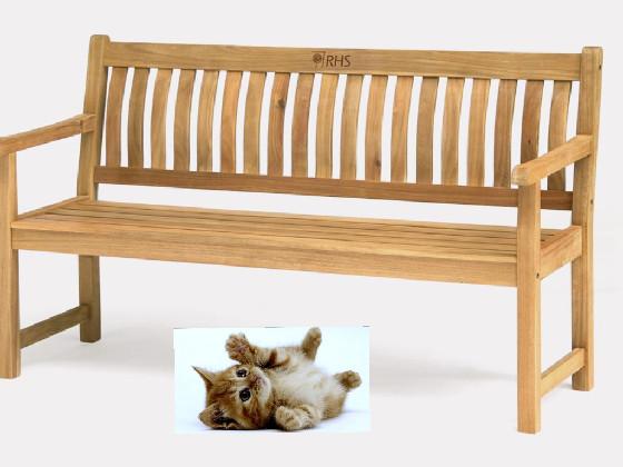Add drawing or photo on bench.
