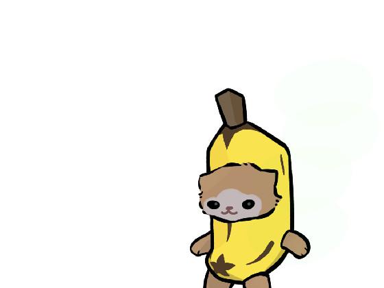 bananananana cat