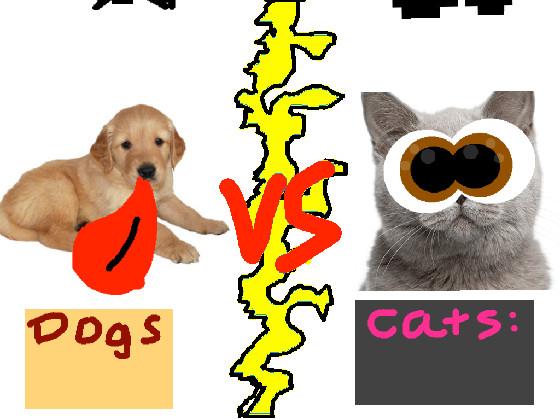 Dogs vs Cats!!🐈🦮🐈🦮🐈🦮🐈