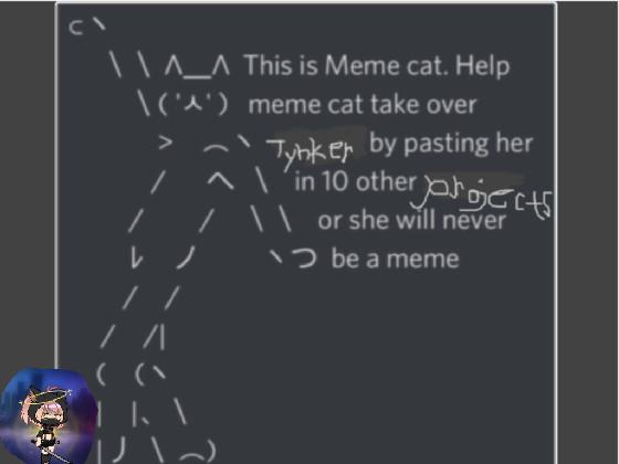 Meme Cat