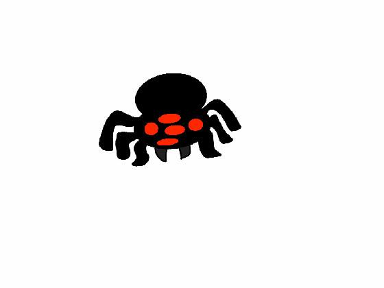 spider