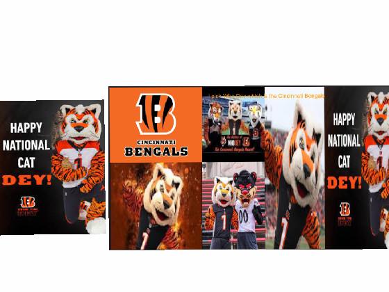 who Dey