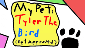 My Pet: Tyler The Bird