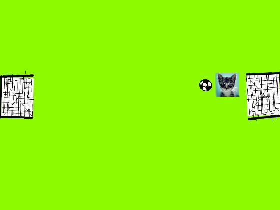 cat soccer 1