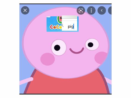 cocopig