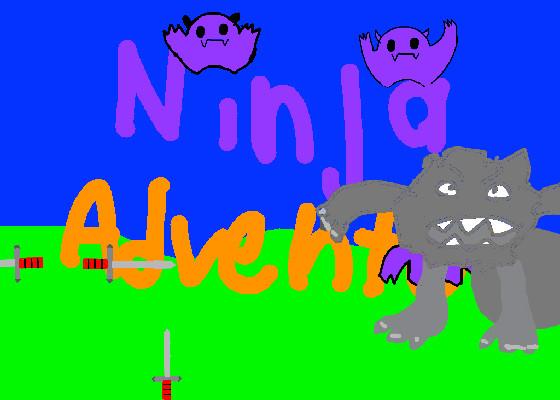 Ninja adventure