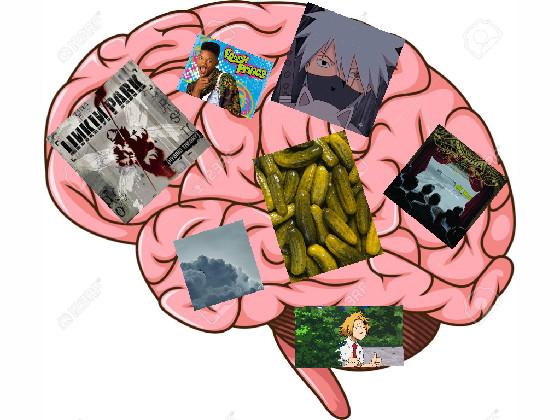 my brain