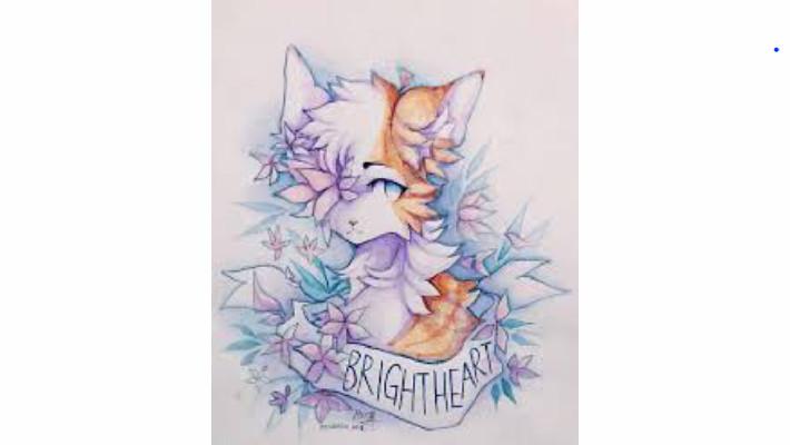 brightheart 1 1