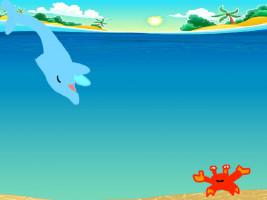 dolphin play