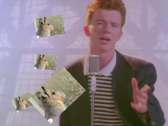 rick astley sings 2 1 1