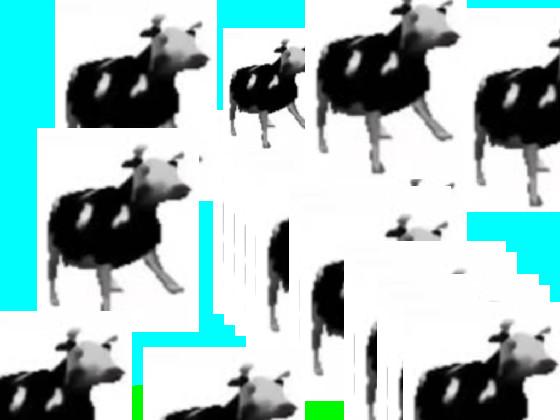Polish Cow 1 1