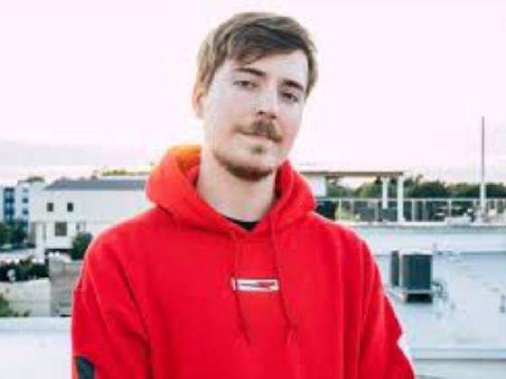 mr beast is the best