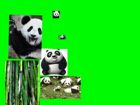 Panda clicker