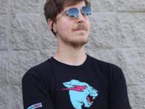 MR BEAST 1