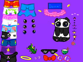 Panda dress up