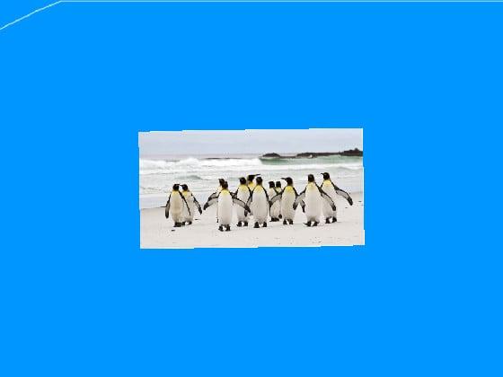 Penguins