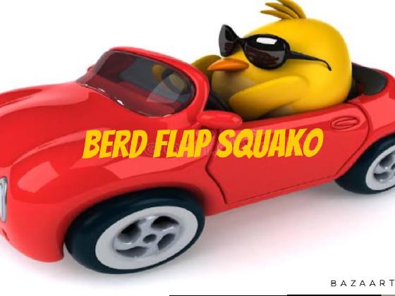 BERD FLAP SQUAKO 1