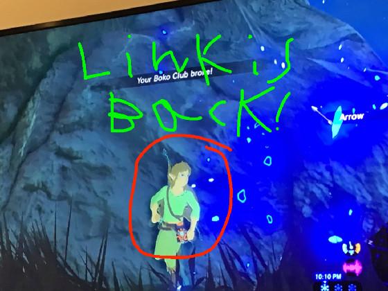 link is back!