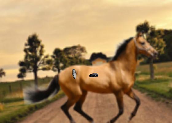 old town road  1