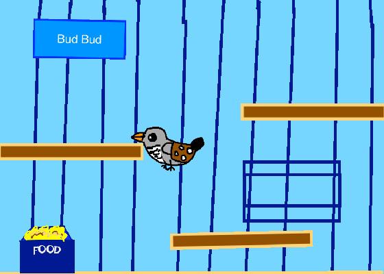 Zebra Finch Simulator