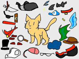 Decorate A Cat!