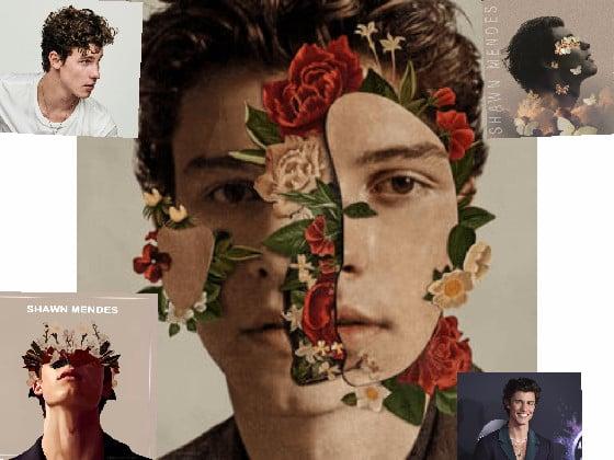 Shawn mendes 2