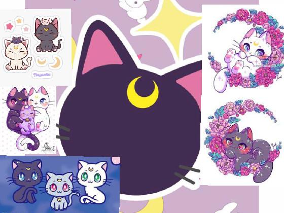 Sailor moon cats