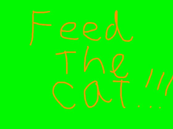 feed the cat