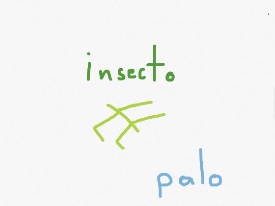 insect palo