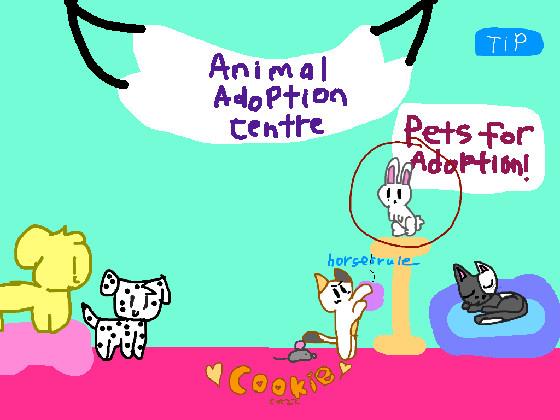 Animal Adoption centre (part 1) 2