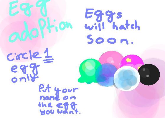 Egg Adopt