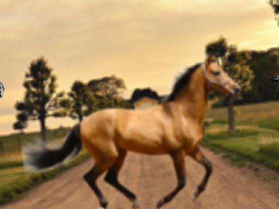 old town road  1 1 1