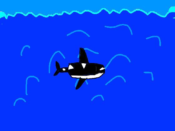 How To Draw: Orca