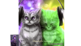 Dj cat music