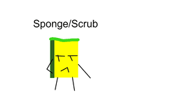 Sponge/Scrub