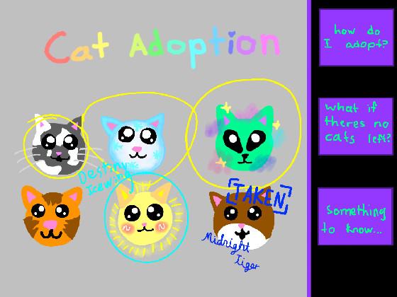 re: Cat adoption 1 1 1