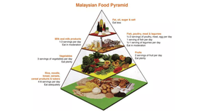 Food pyramid