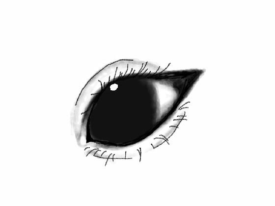 eye