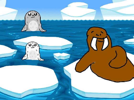 Seals and Walrus 1