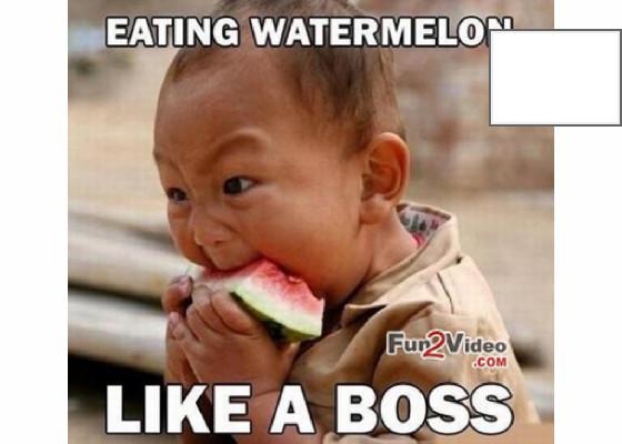 meme watermelon 1