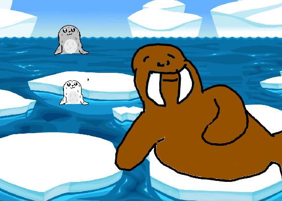 Seals and Walrus 1