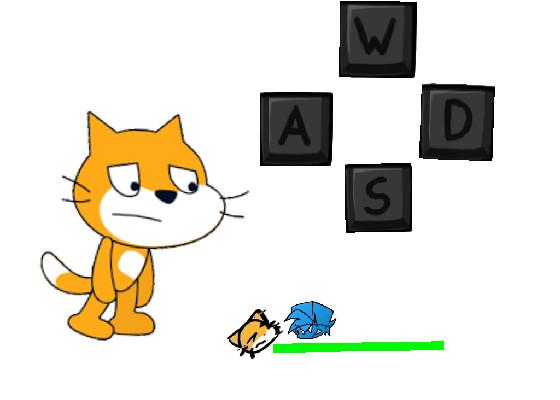 De scratch cat test