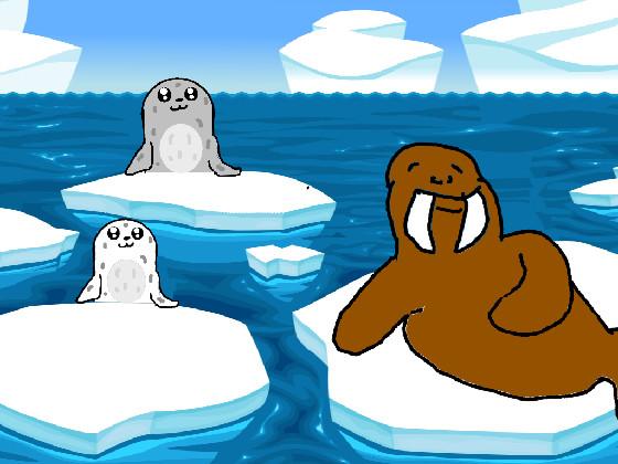 Seals and Walrus 1