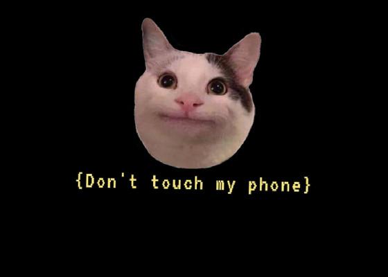 Beluga cat DONT TOUCH MY PHONE